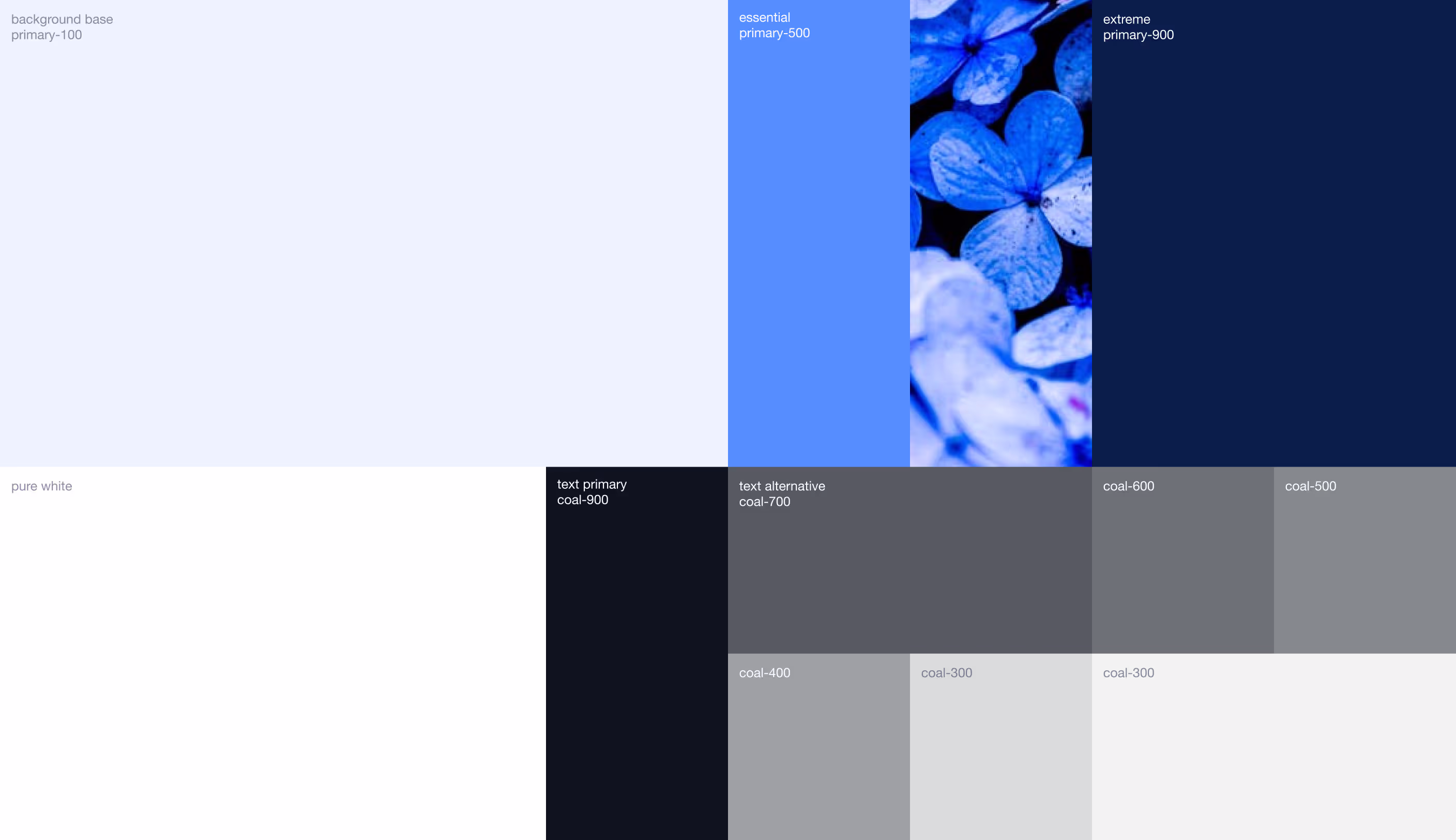 Divvit 03 — Branding